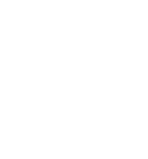 Quantica Interactive